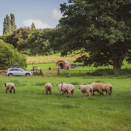 Hidden Wood Glamping And The Hideaway Cabin ワーミンスター エクステリア 写真