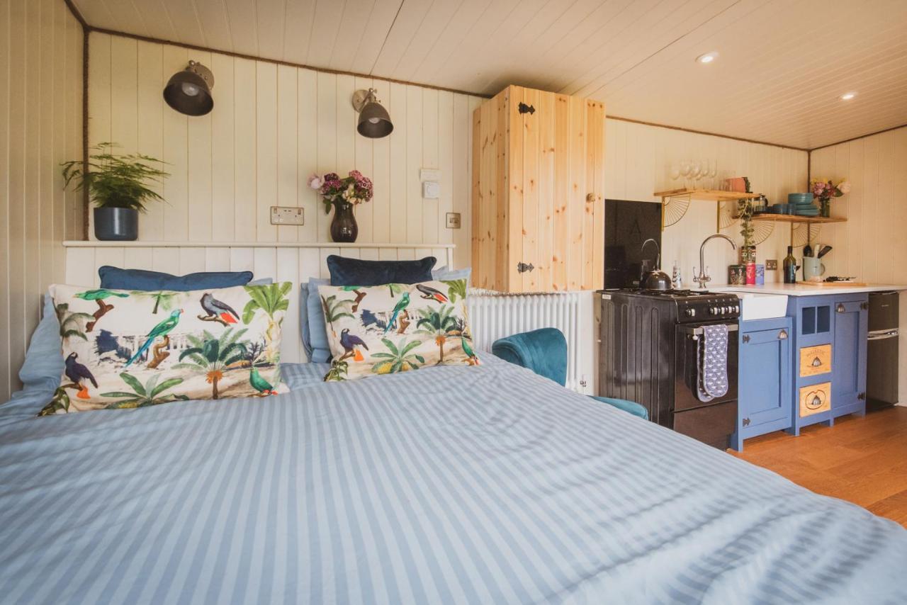 Hidden Wood Glamping And The Hideaway Cabin ワーミンスター エクステリア 写真